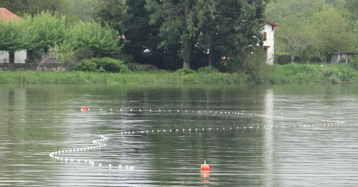 Dans lAdour pêches illégales de saumons et poissons migrateurs avec