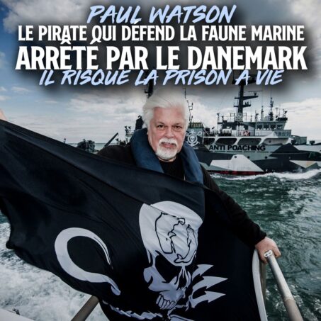 Paul Watson le fondateur de Sea Shepherd arrêté au Danemark OnePlanete