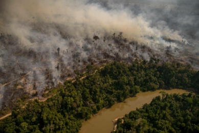 Amazonie : des actions partout en France
