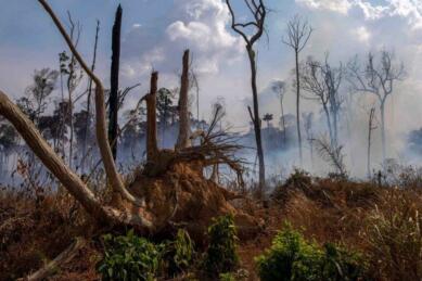 L’Amazonie brûle, encore et toujours