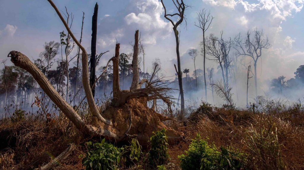 L’Amazonie brûle, encore et toujours