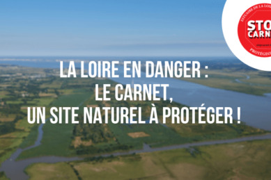 ZAD au Carnet : la résistance s’organise pour protéger l’estuaire de la Loire