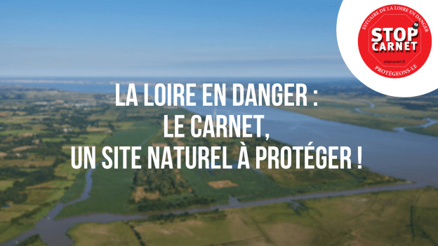 ZAD au Carnet : la résistance s’organise pour protéger l’estuaire de la Loire