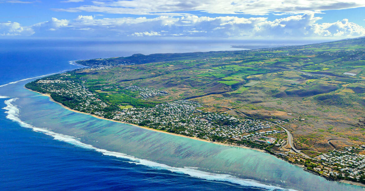 La route Â« la plus chÃ¨re du monde Â» menace la biodiversitÃ© Ã La RÃ©union