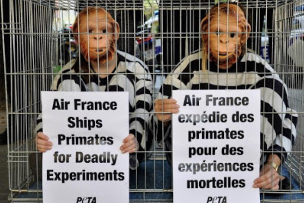 Air France dernière grande compagnie aérienne à