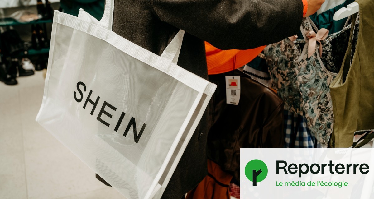 15 des vêtements vendus par Shein contiennent des polluants toxiques
