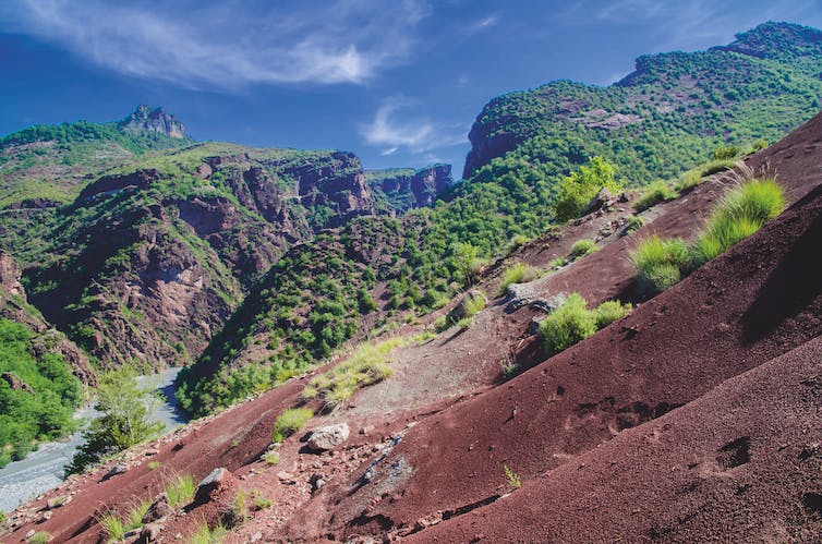 Paysage de canyons, roches rouges et végétation éparse