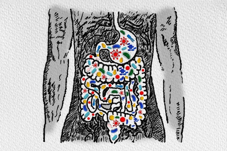 illustration conceptuelle du microbiome intestinal