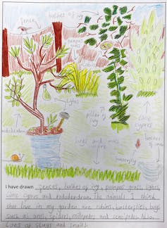 Un enfant dessine les plantes et les animaux de son jardin