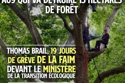 Thomas Brail dans un arbre perché, devant le ministère de l