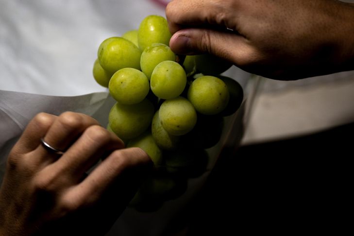 Les raisins de la colère: le Japon peine à protéger ses fruits de copies chinoises