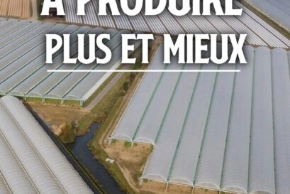 Vu aérienne de la "mer de plastique", des lignes entières de serres au-dessus de sols sableux dans le pays nantais