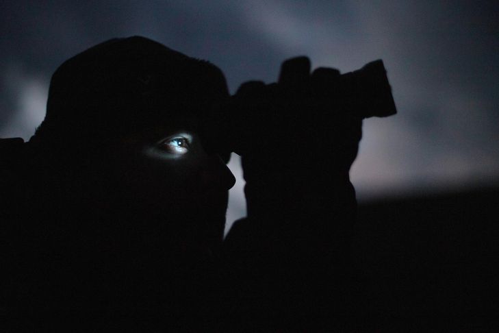 PODCAST. Sur les traces du loup, avec la photographe Sophie Rodriguez