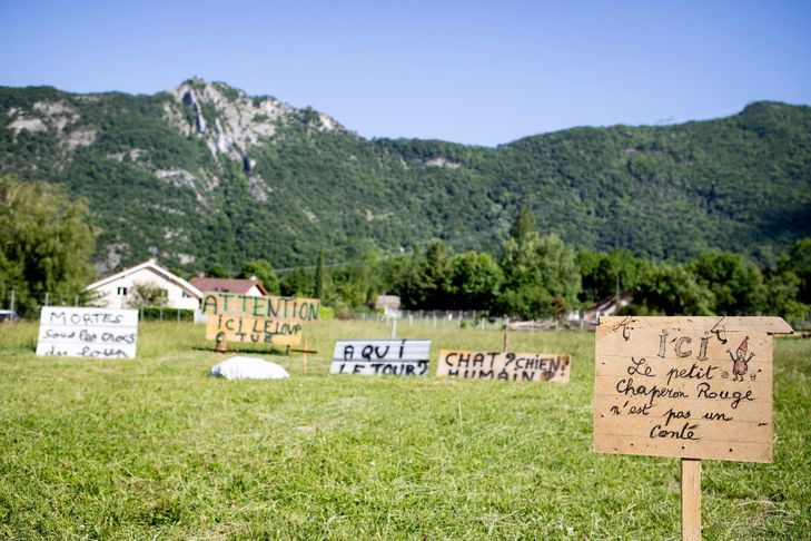 PODCAST. Sur les traces du loup, avec la photographe Sophie Rodriguez
