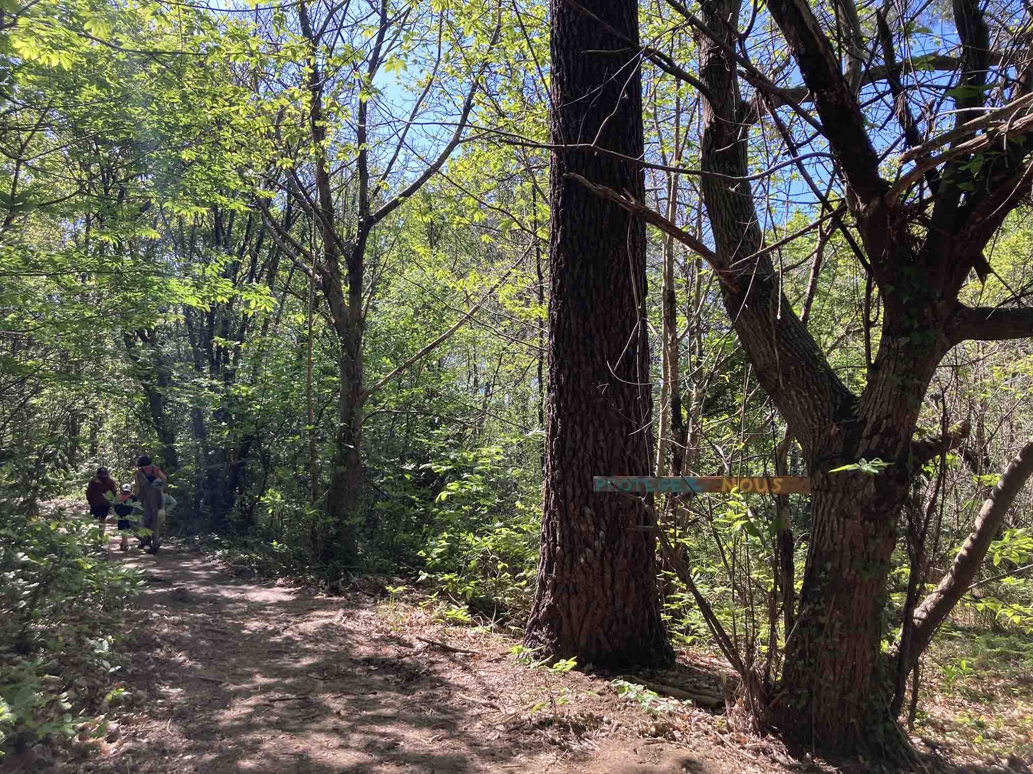 Panneau dans la forêt de Juzan
