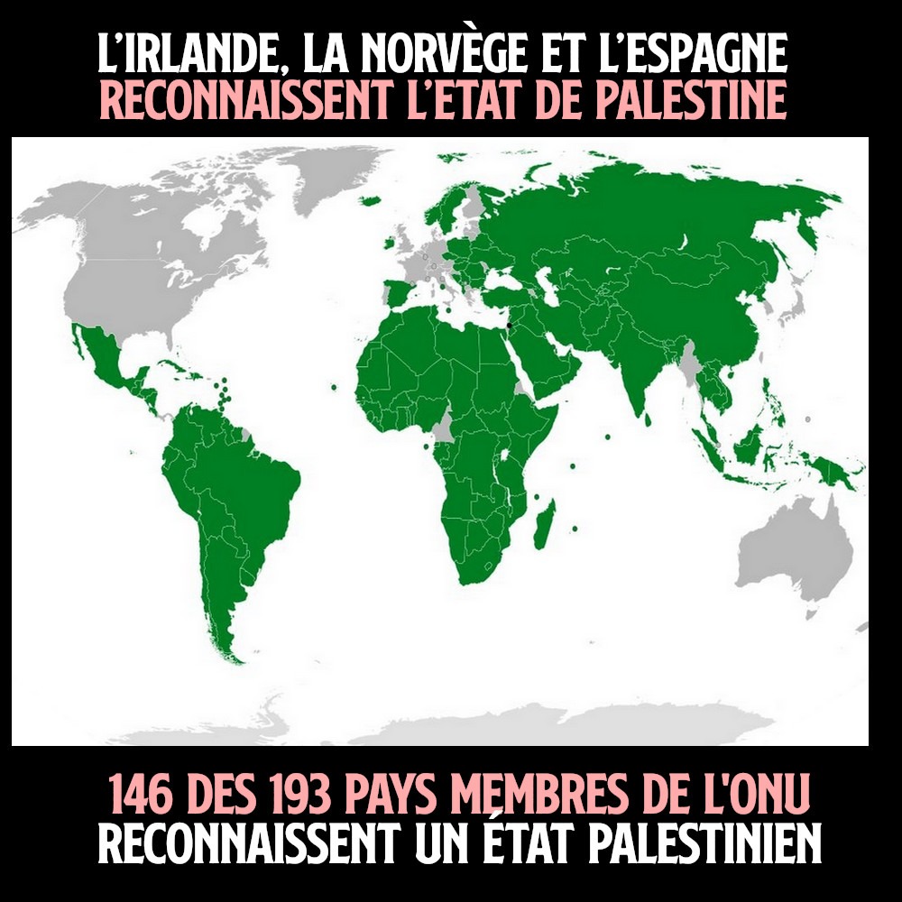 Carte des États qui reconnaissent la Palestine dans le monde : une très large majorité du globe