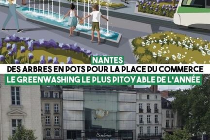 Nantes : Des arbres en pots pour la place du commerce