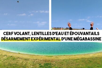 Des images de cerfs-volants et d