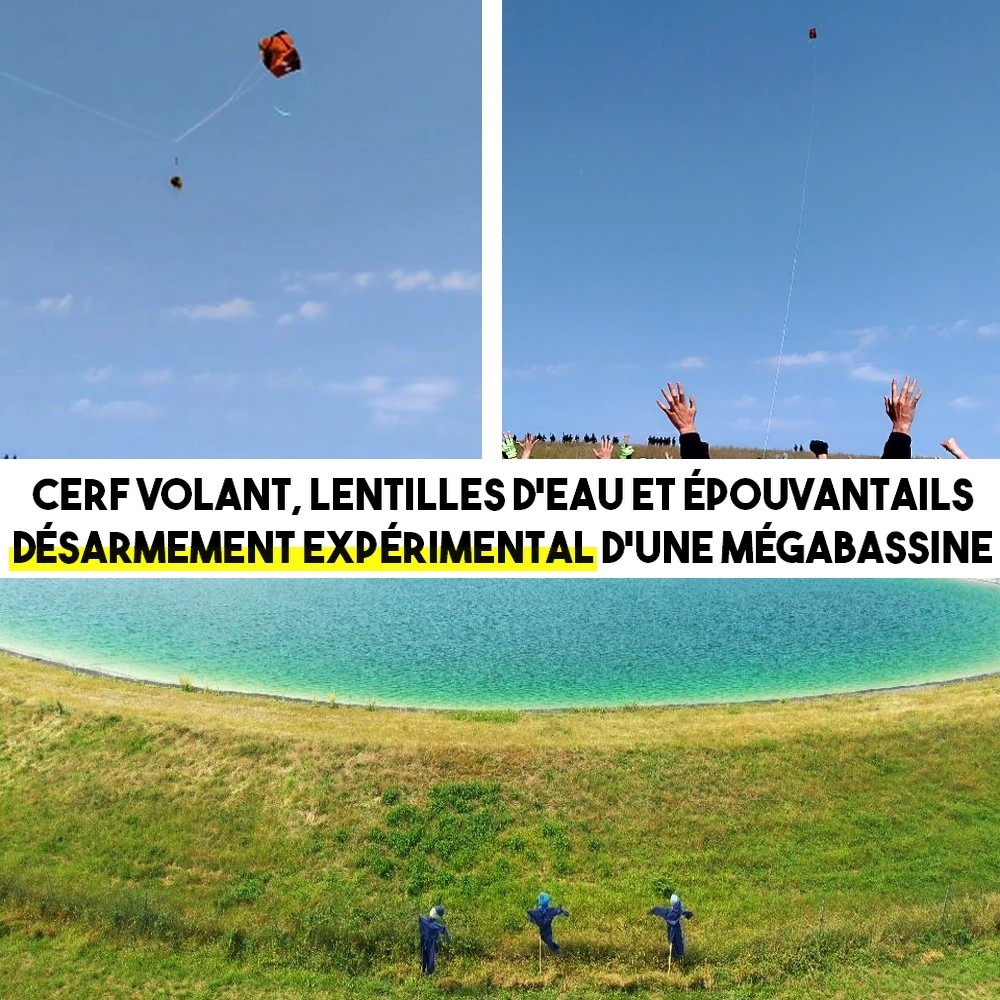 Des images de cerfs-volants et d