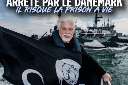 Paul Watson, le fondateur de sea shepherd arrêté au danemark