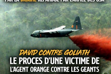 david contre goliath : le procès d