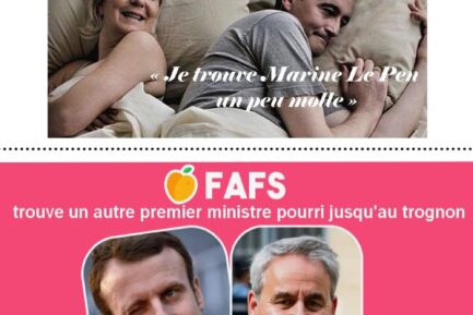 Nouveauté : l
