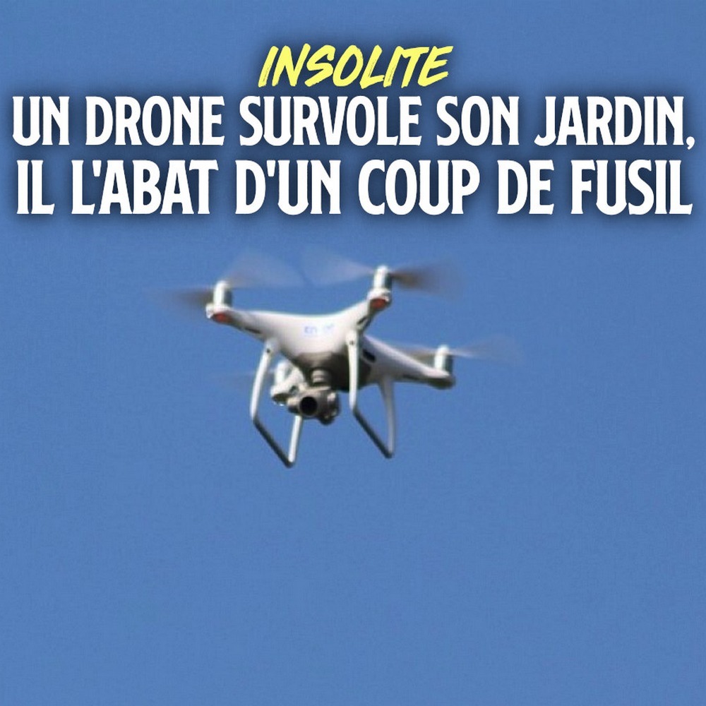 vaucluse : il abat un drone qui volait au dessus de son jardin