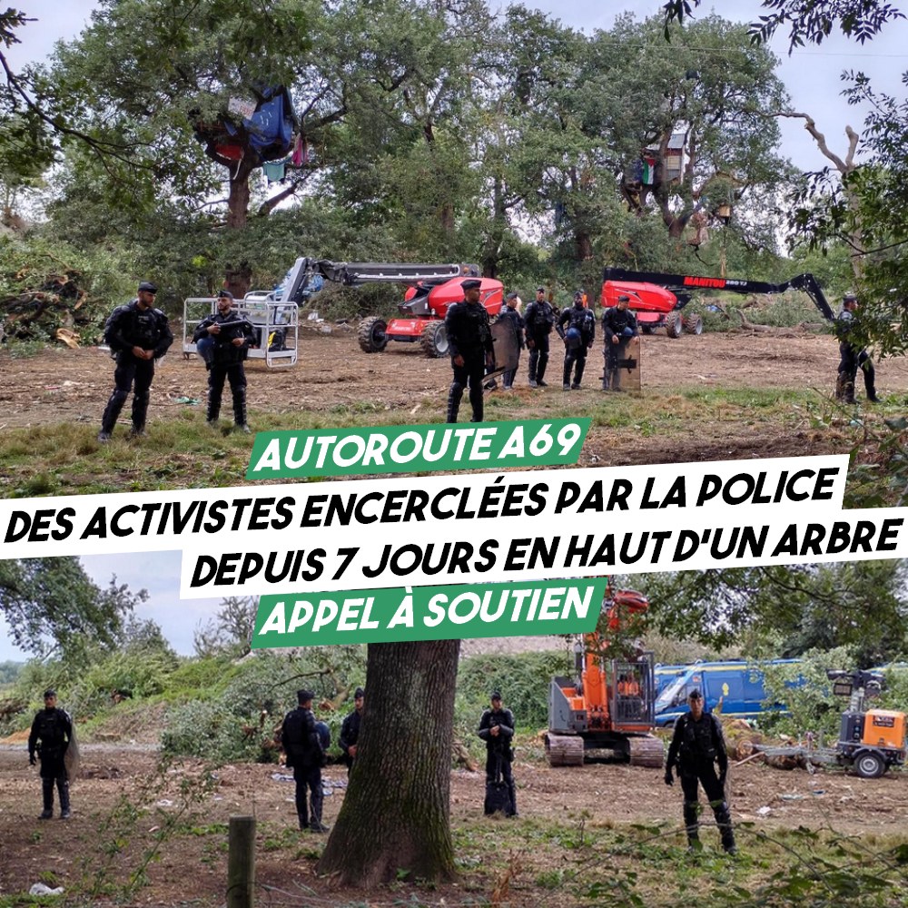 Deux photos de gendarmes encerclant un arbre protégé par des écureuil-les sur le chantier de l