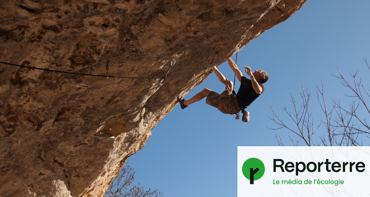 Sets de coinceurs d'escalade | Oliunìd