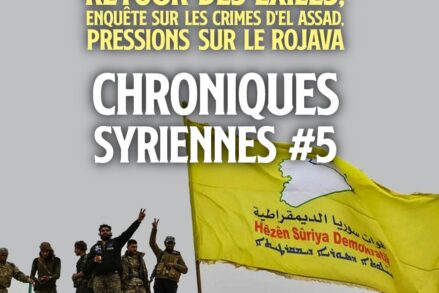 Des militaires des Forces Démocratiques Syrienne posant à côté de leur drapeau.