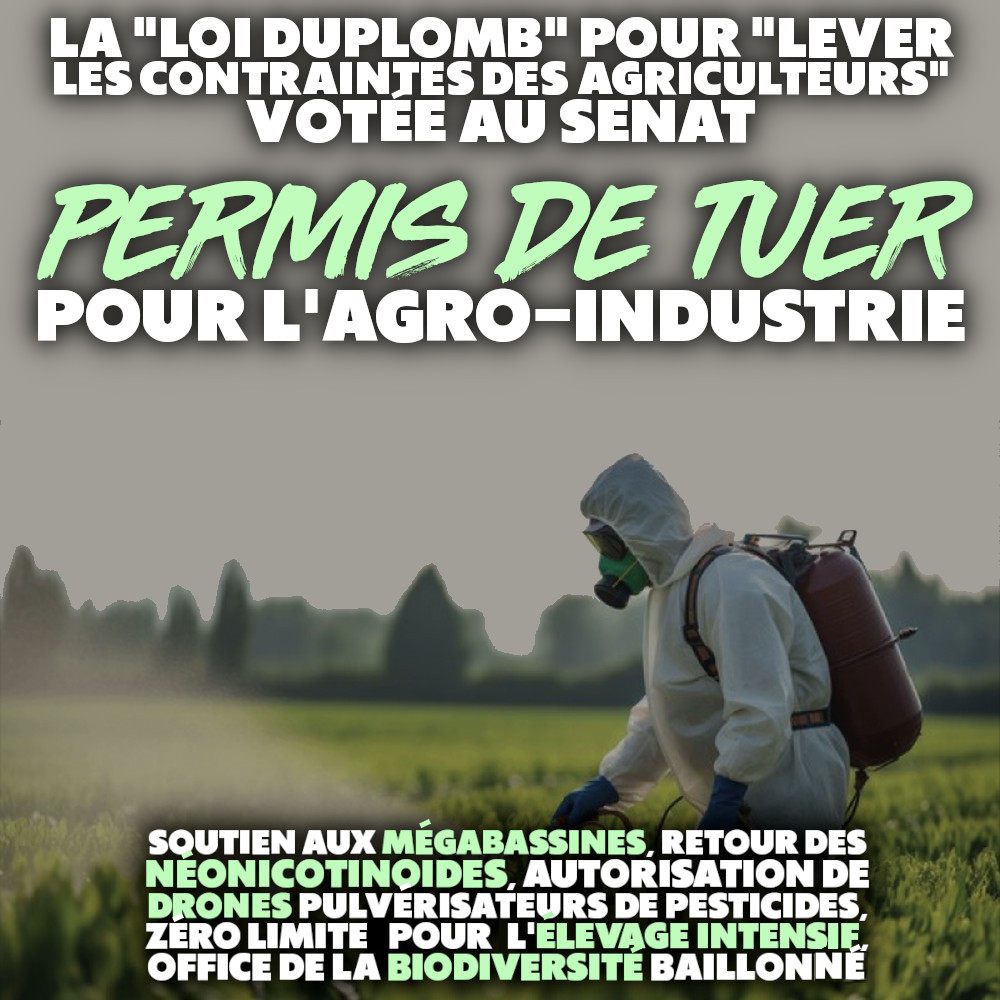 Un agriculteur en combinaison disperse un pesticide sur un champ : l