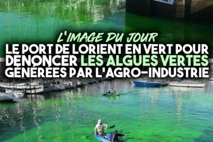 Un vert vif, presque fluorescent, qui colore l