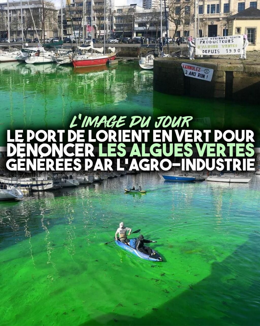Un vert vif, presque fluorescent, qui colore l