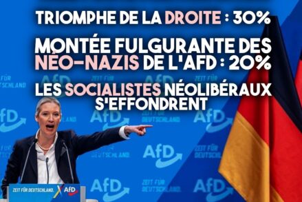 Alice Weidel, cheffe de l