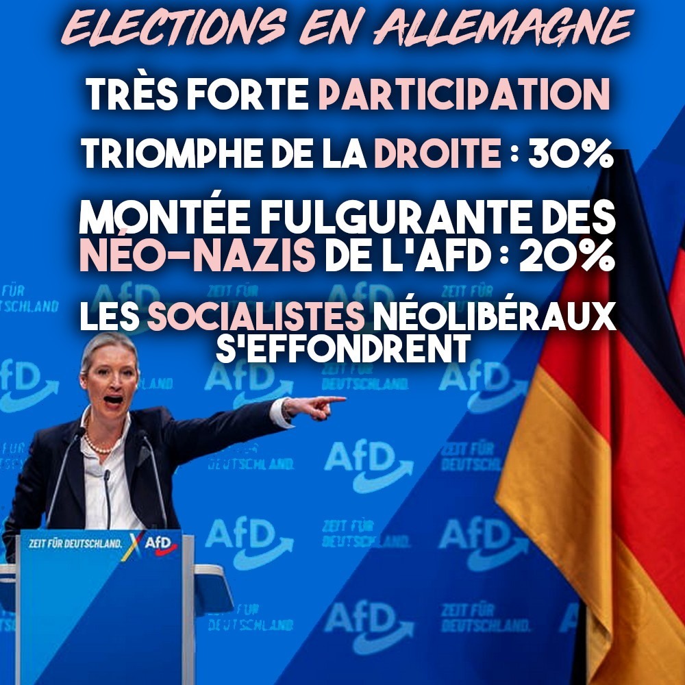 Alice Weidel, cheffe de l