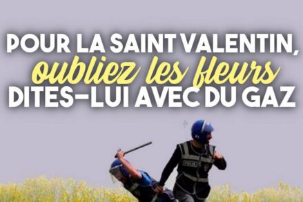 Des policiers matraquent un champ de fleurs devant un nuage de gaz lacrymogène