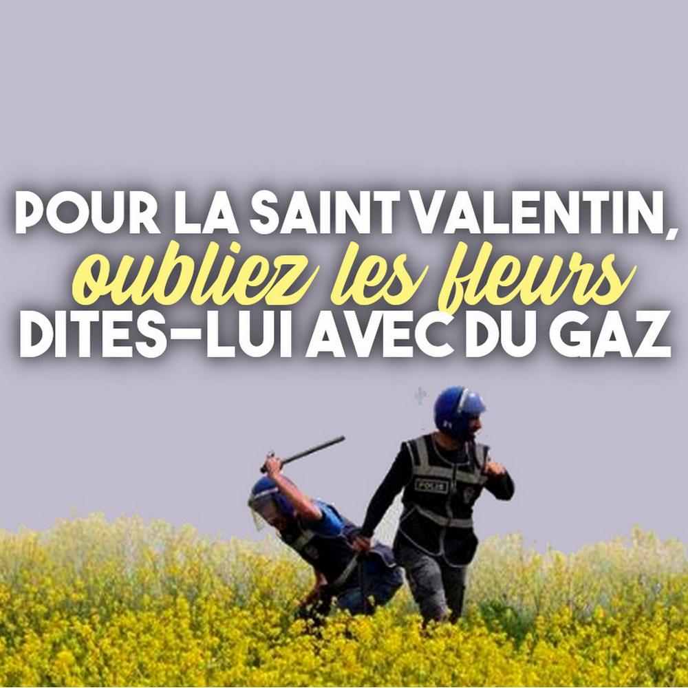 Des policiers matraquent un champ de fleurs devant un nuage de gaz lacrymogène