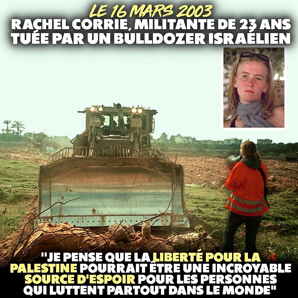 Rachel Corrie portant un gilet orange et un mégaphone face au bulldozer israélien qui ne reculera que pour l
