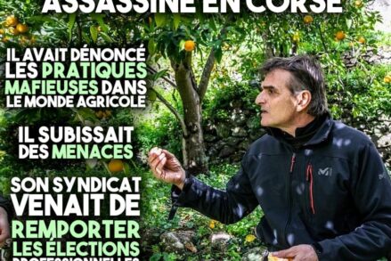 Pierre Alessandri cueillant des fruits dans son verger.