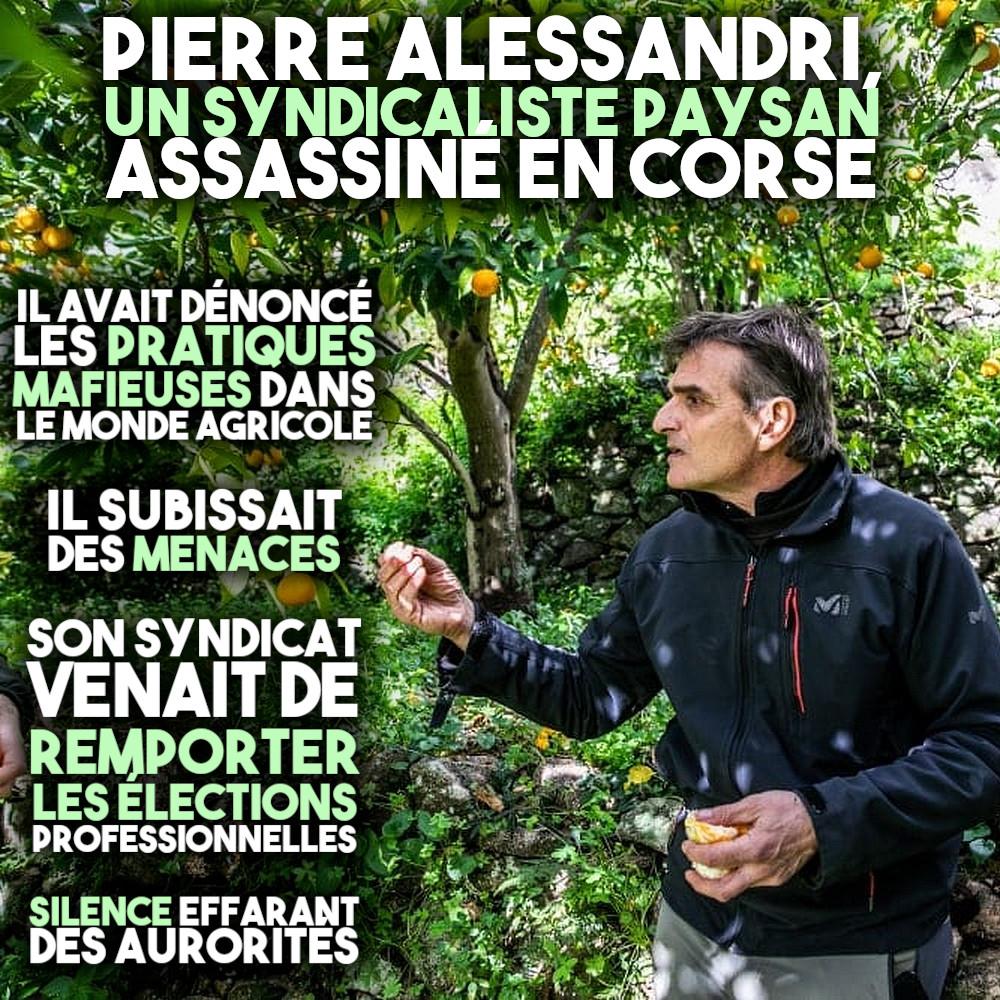 Pierre Alessandri cueillant des fruits dans son verger.