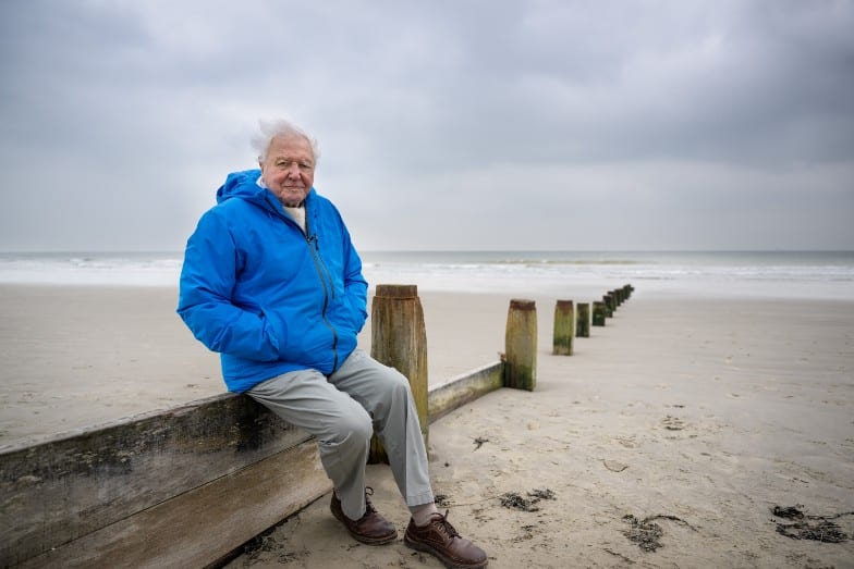 Sir David Attenborough, champion de la Terre, et lanceur d'alerte pour la planète, pris en photo au bord de l'Océan.