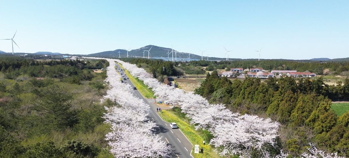 Cette année, la commémoration de la Journée mondiale de l'environnement est organisée par Jeju, en République de Corée, sous le thème #BeatPlasticPollution. 