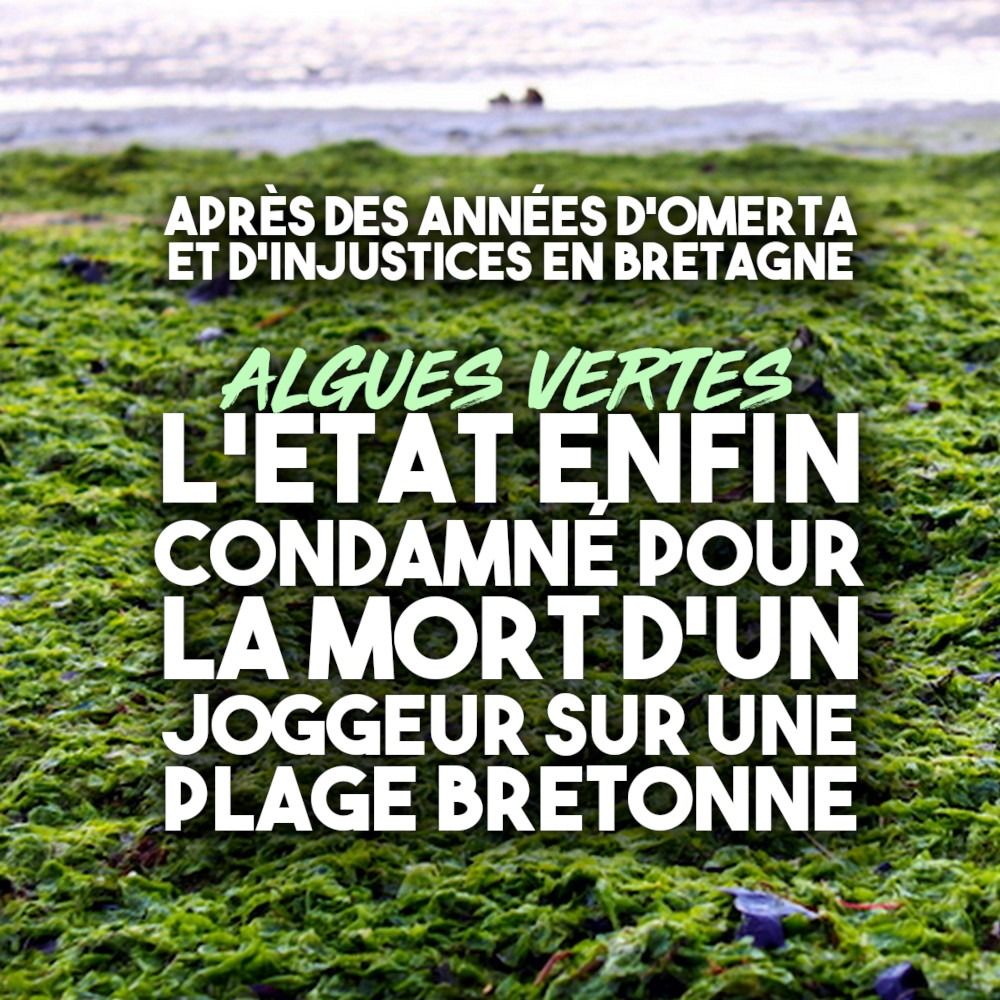 Une plage recouverte d