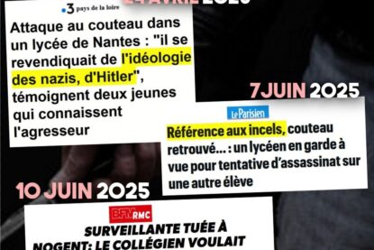 Masculinisme, extrême droite et passage à l
