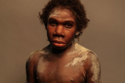 Reconstitution d’un Homo ergaster, « Turkana Boy » par Elisabeth Daynes.