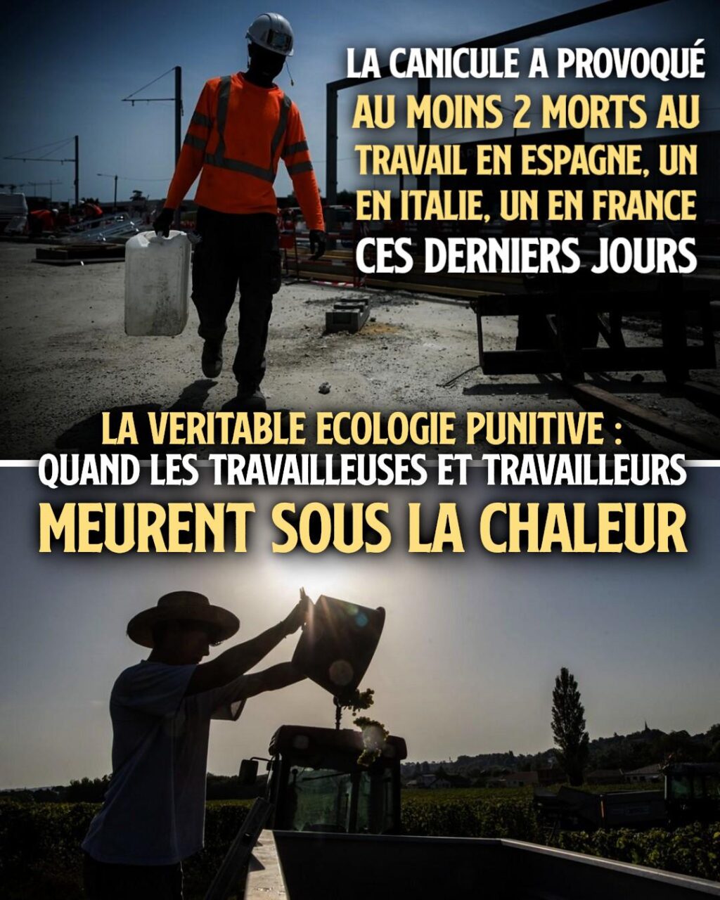 Que ce soit dans le BTP ou l