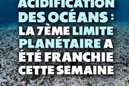 Le fond de l