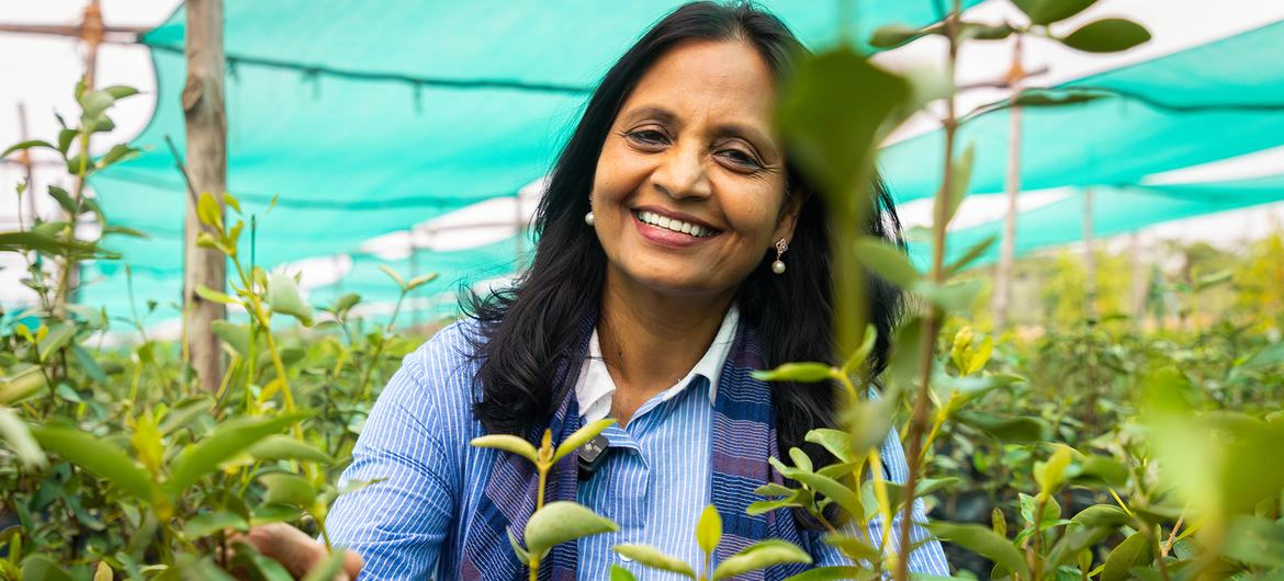 Supriya Sahu, lauréate du prix des Champions de la Terre, est reconnue pour son leadership novateur dans l'action climatique.
