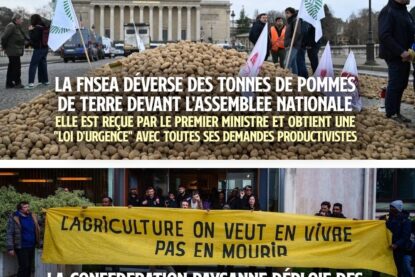 Des tonnes de patates déversées devant l