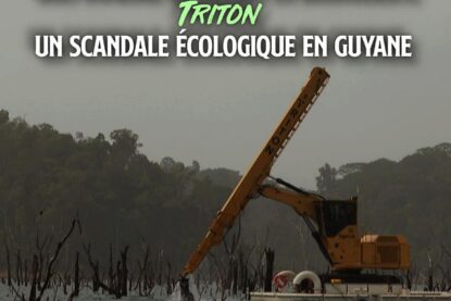 À Petit-Saut, en Guyane, une machine montée sur une barque rase des arbres immergés dans un lac artificiel : le projet Triton risque de détruire cet espace pour la faune sauvage.